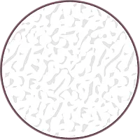 **Knisterfolie: 42 x 10 cm**

Für das spannende Knistergeräusch im Blatt. Alternativ kann ein Bratschlauch oder lebensmittelechte Zellophanfolie verwendet werden. Beachte jedoch, dass alternative Materialien eventuell nicht waschmaschinengeeignet sind.