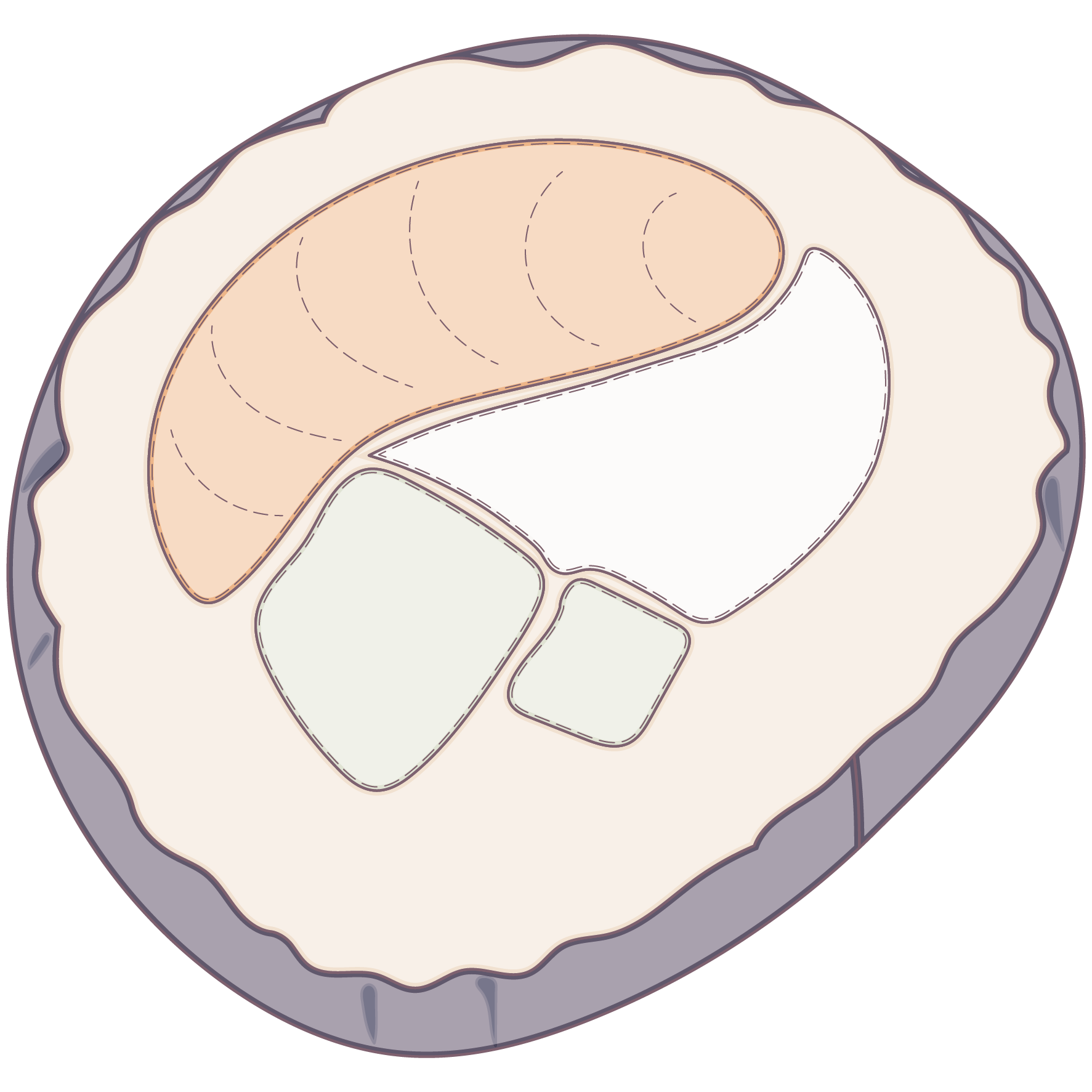 Sushi Pillow - Technical Drawing