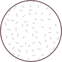 **Vliesofix/Bondaweb (optional): 90 x 14 cm**

For securing the appliqué pieces.