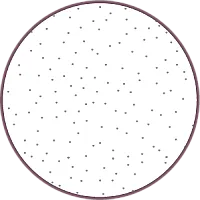 **Einlage/Nähvlies (optional): 60 x 32 cm**

Zum Stabilisieren des Beutels, der Blätter und des Blattes am Gurtende.